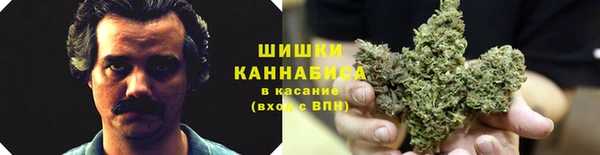 крисы Кинешма