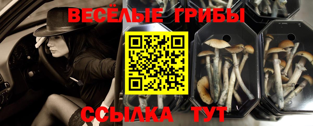 Галлюциногенные грибы мицелий Коряжма
