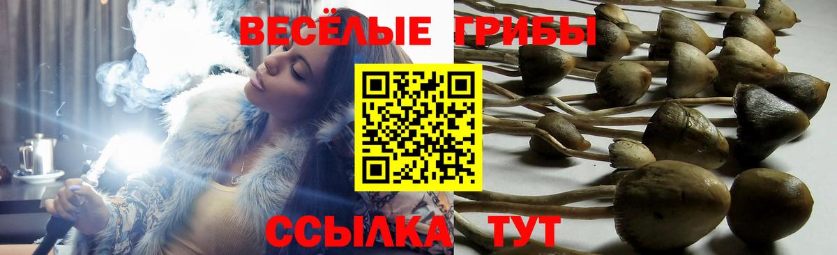 Коряжма  Галлюциногенные грибы Magic Shrooms  купить закладку  Вход с VPN 